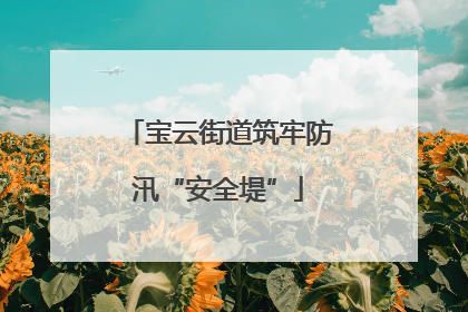 宝云街道筑牢防汛“安全堤”