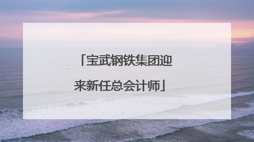 宝武钢铁集团迎来新任总会计师