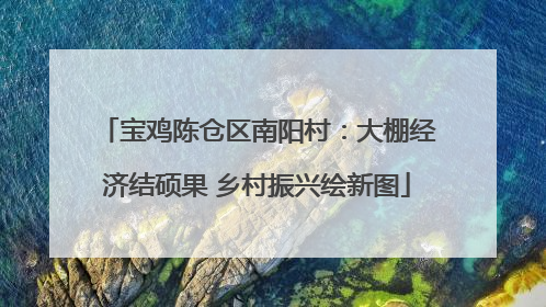 宝鸡陈仓区南阳村：大棚经济结硕果 乡村振兴绘新图