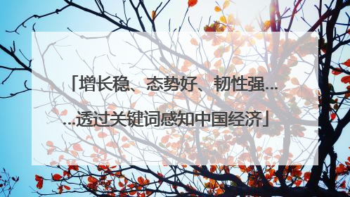增长稳、态势好、韧性强……透过关键词感知中国经济