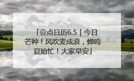 壹点日历6.5｜今日芒种！风吹麦成浪，蝉鸣夏始忙！大家早安