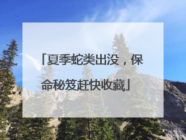 夏季蛇类出没，保命秘笈赶快收藏