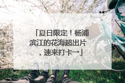 夏日限定！杨浦滨江的花海超出片，速来打卡→