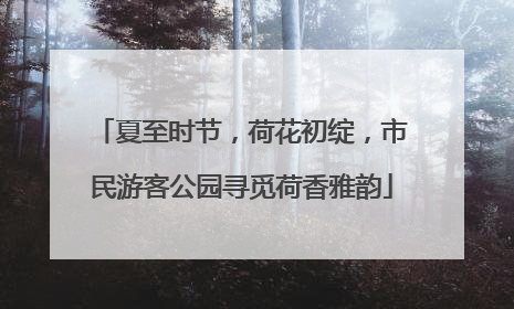 夏至时节，荷花初绽，市民游客公园寻觅荷香雅韵