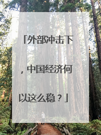 外部冲击下，中国经济何以这么稳？