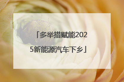 多举措赋能2025新能源汽车下乡