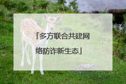多方联合共建网络防诈新生态