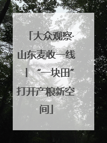 大众观察·山东麦收一线丨“一块田”打开产粮新空间