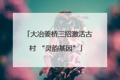 大冶姜桥三招激活古村 “灵韵基因”