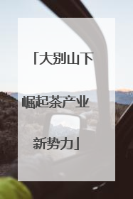 大别山下崛起茶产业新势力