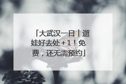 大武汉一日︱遛娃好去处＋1！免费，还无需预约