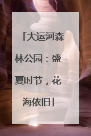 大运河森林公园：盛夏时节，花海依旧