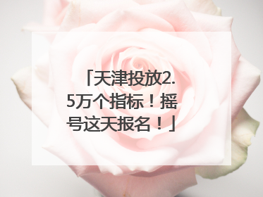 天津投放2.5万个指标！摇号这天报名！