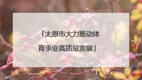 太原市大力推动体育事业高质量发展