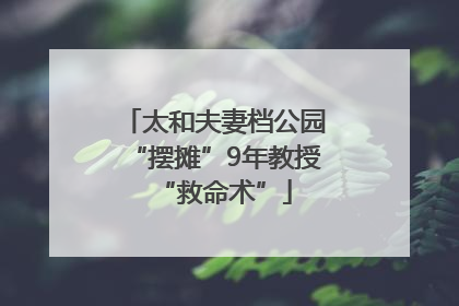 太和夫妻档公园“摆摊”9年教授“救命术”