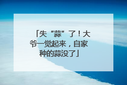 失“蒜”了！大爷一觉起来，自家种的蒜没了