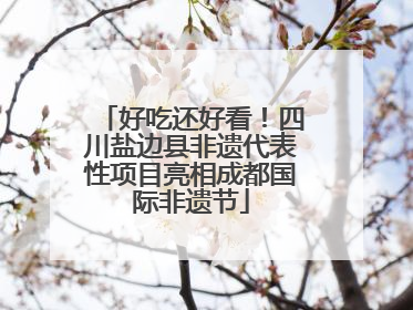 好吃还好看！四川盐边县非遗代表性项目亮相成都国际非遗节