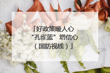 好政策暖人心 “孔雀蓝”增信心（国防视线）