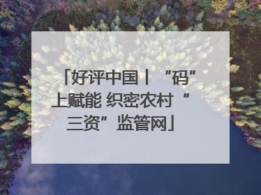 好评中国丨“码”上赋能 织密农村“三资”监管网