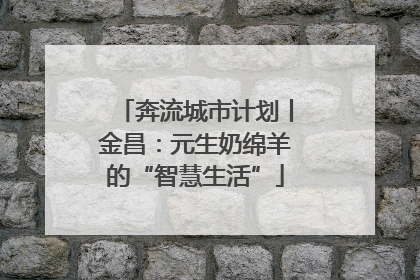 奔流城市计划丨金昌：元生奶绵羊的“智慧生活”