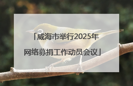 威海市举行2025年网络募捐工作动员会议