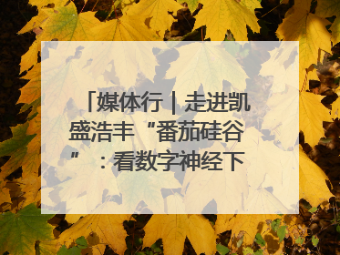 媒体行｜走进凯盛浩丰“番茄硅谷”：看数字神经下的精准农业