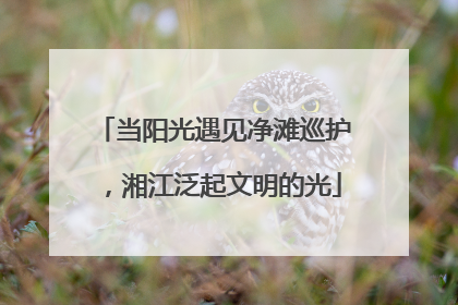 当阳光遇见净滩巡护，湘江泛起文明的光