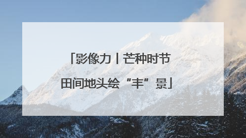 影像力丨芒种时节 田间地头绘“丰”景