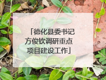 德化县委书记方俊钦调研重点项目建设工作