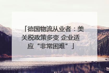 德国物流从业者：美关税政策多变 企业适应“非常困难”