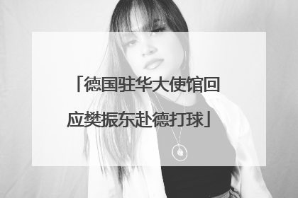 德国驻华大使馆回应樊振东赴德打球