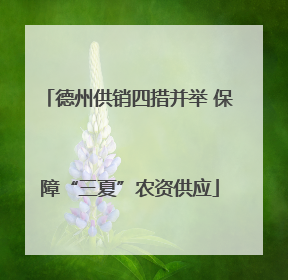 德州供销四措并举 保障“三夏”农资供应