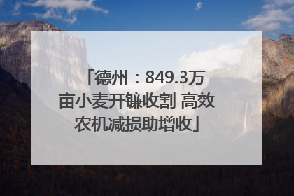 德州：849.3万亩小麦开镰收割 高效农机减损助增收