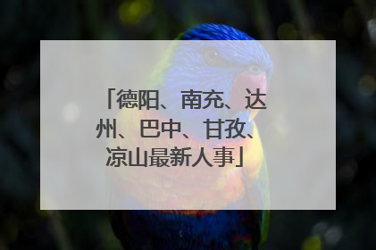 德阳、南充、达州、巴中、甘孜、凉山最新人事