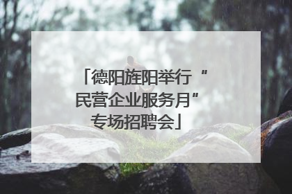 德阳旌阳举行“民营企业服务月”专场招聘会