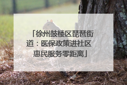 徐州鼓楼区琵琶街道：医保政策进社区 惠民服务零距离