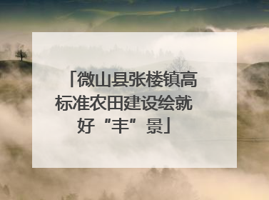 微山县张楼镇高标准农田建设绘就好“丰”景