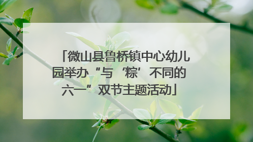 微山县鲁桥镇中心幼儿园举办“与‘粽’不同的六一”双节主题活动