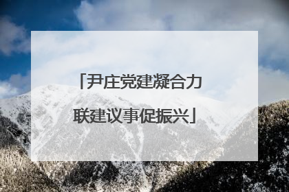 尹庄党建凝合力 联建议事促振兴