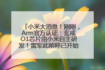 小米大消息！刚刚，Arm官方认证：玄戒O1芯片由小米自主研发！雷军此前称已开始大规模量产