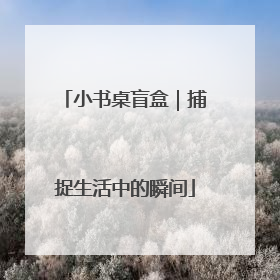 小书桌盲盒｜捕捉生活中的瞬间