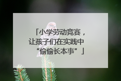 小学劳动竞赛，让孩子们在实践中“偷偷长本事”
