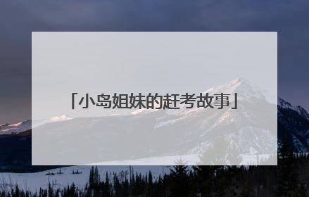 小岛姐妹的赶考故事