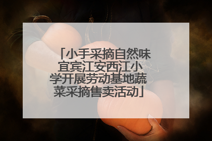 小手采摘自然味 宜宾江安西江小学开展劳动基地蔬菜采摘售卖活动