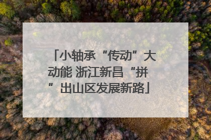 小轴承“传动”大动能 浙江新昌“拼”出山区发展新路
