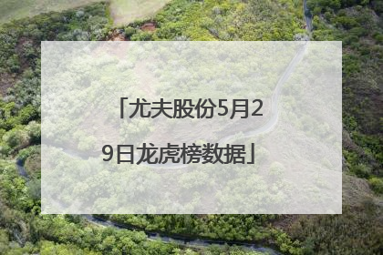 尤夫股份5月29日龙虎榜数据
