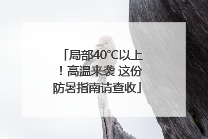 局部40℃以上！高温来袭 这份防暑指南请查收