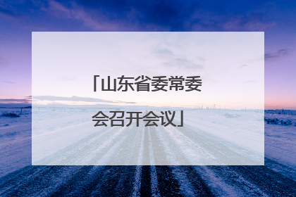 山东省委常委会召开会议