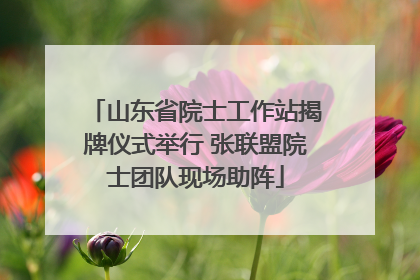山东省院士工作站揭牌仪式举行 张联盟院士团队现场助阵