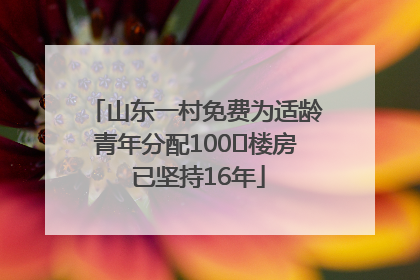 山东一村免费为适龄青年分配100㎡楼房 已坚持16年